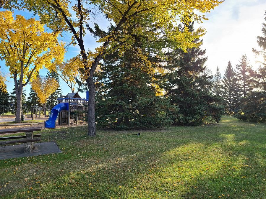 Accessible Trail in the Kensington Park