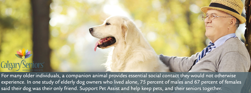 Pet Assist – Helping pets, and their seniors, stay together