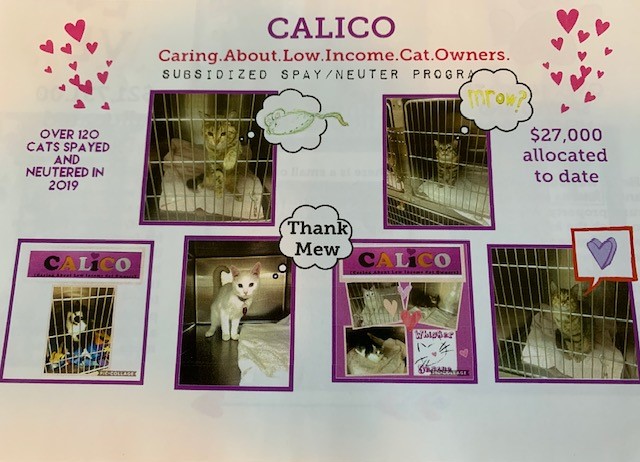 CALICO – Caring About Low Income Cat Owners