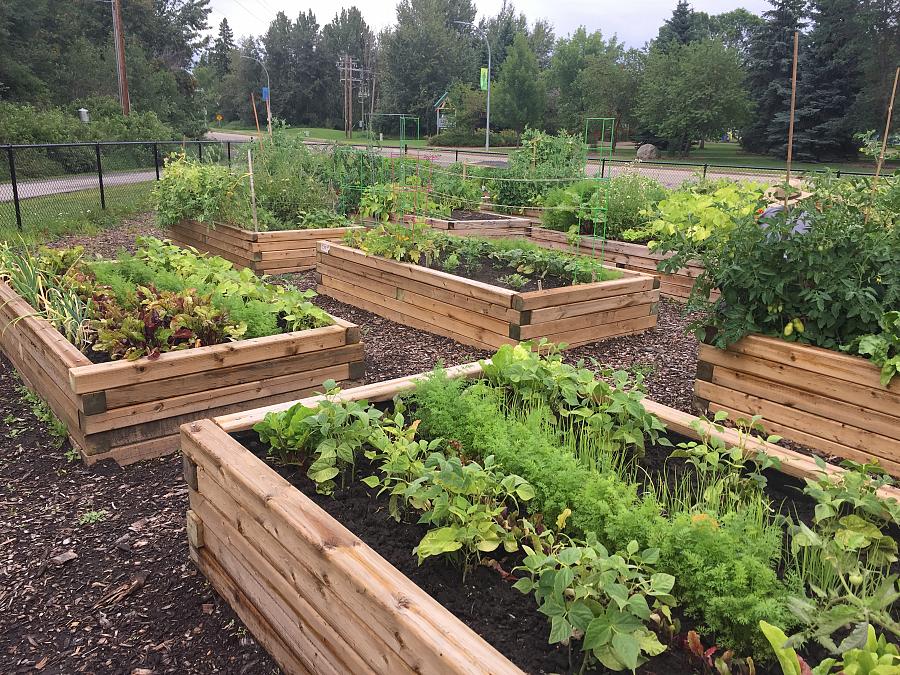Spruce Grove and District Agricultural Society Community Garden