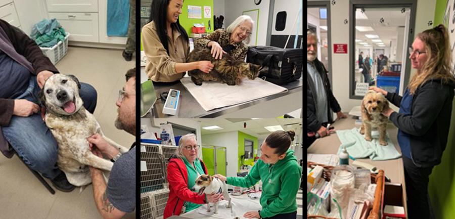 Seniors Pet Wellness Clinic at Alberta Animal Rescue Crew Society