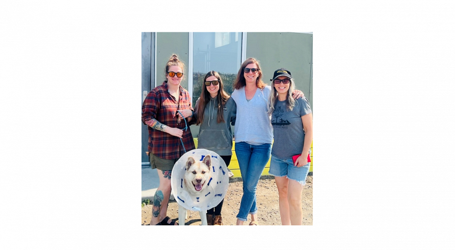 NWT SPCA Spay and Neuter Assistance Program
