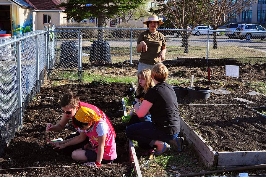 Planting Seeds for an Inclusive Community Garden Program