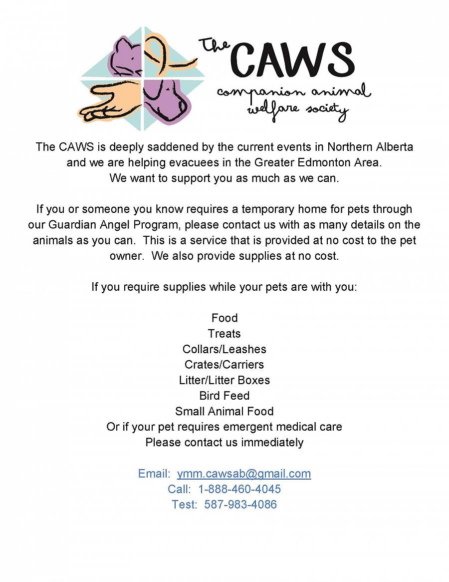 Support Stranded Pets in YMM